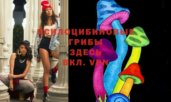 ПСИЛОЦИБИНОВЫЕ ГРИБЫ Тайга