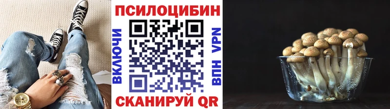 Галлюциногенные грибы Psilocybine cubensis  Ростов 